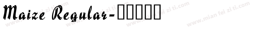 Maize Regular字体转换